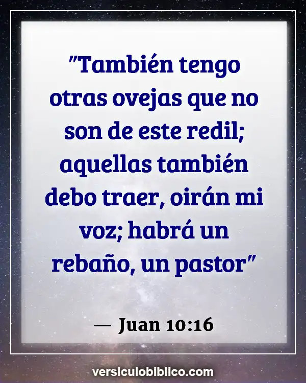 Versículos De La Biblia sobre Buen Pastor (Juan 10:16)