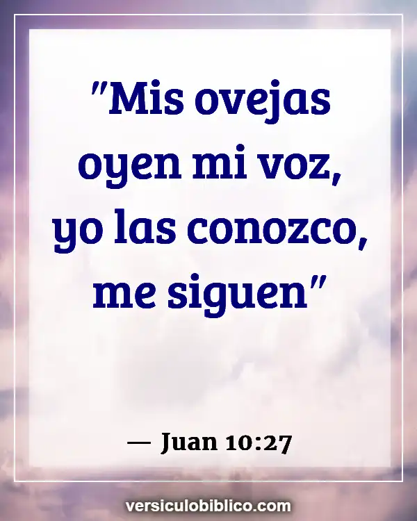 Versículos De La Biblia sobre Intuición (Juan 10:27)