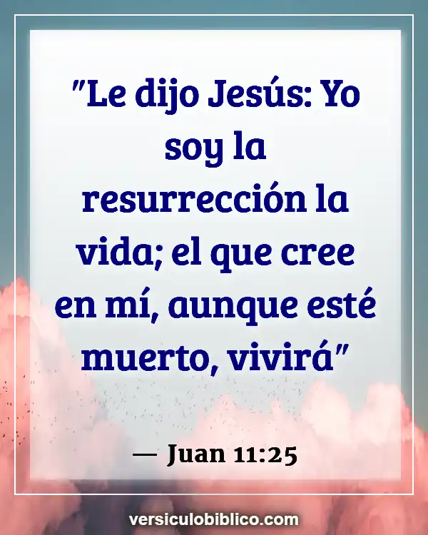 Versículos De La Biblia sobre Recuerdos (Juan 11:25)