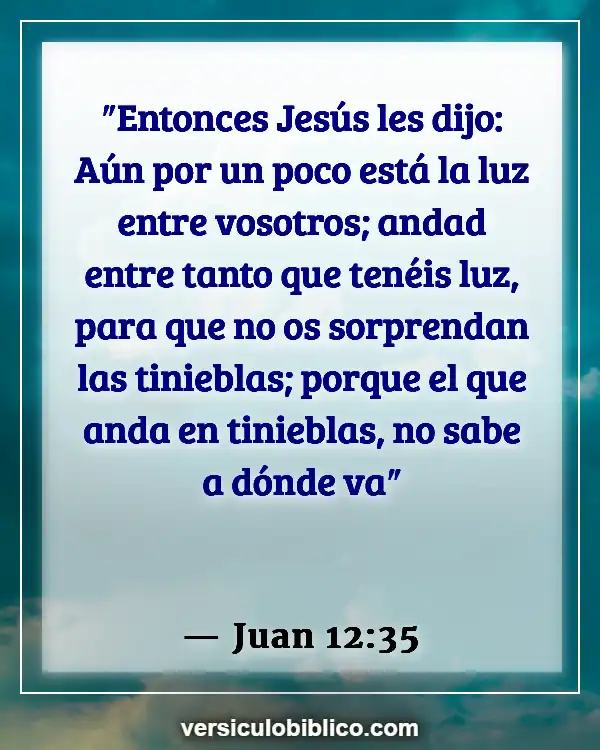 Versículos De La Biblia sobre Ser una luz (Juan 12:35)