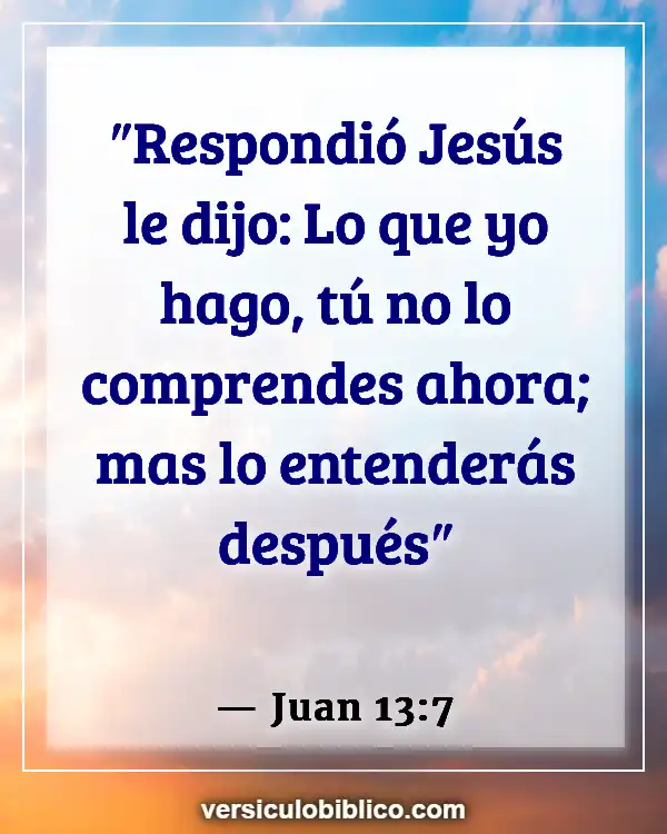 Versículos De La Biblia sobre Gente complaciendo (Juan 13:7)