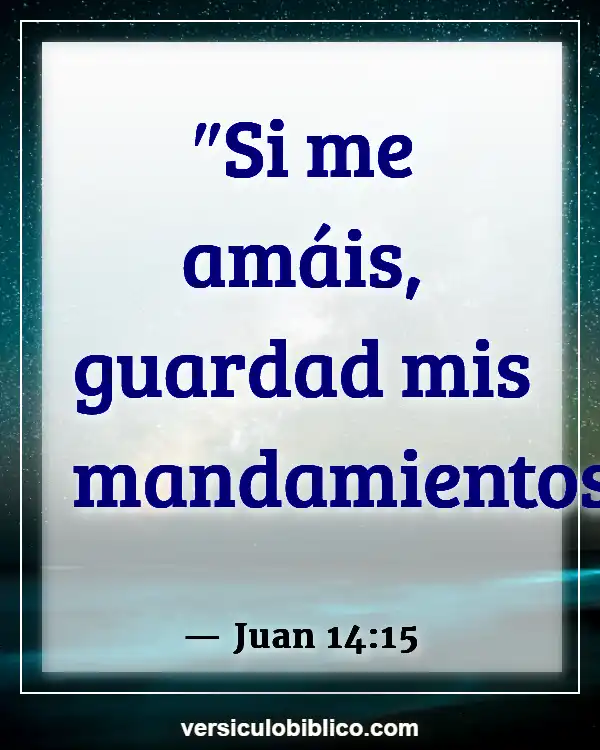 Versículos De La Biblia sobre Intimidad con Dios (Juan 14:15)