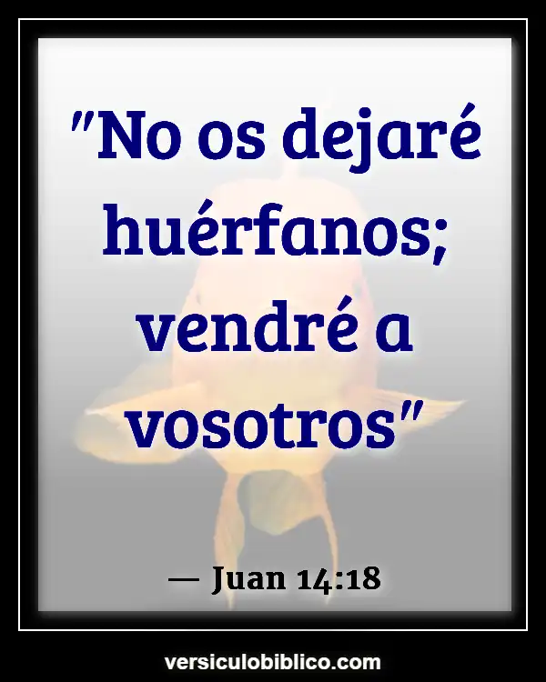 Versículos De La Biblia sobre Huérfanos (Juan 14:18)