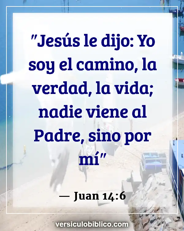 Versículos De La Biblia sobre Insultar (Juan 14:6)