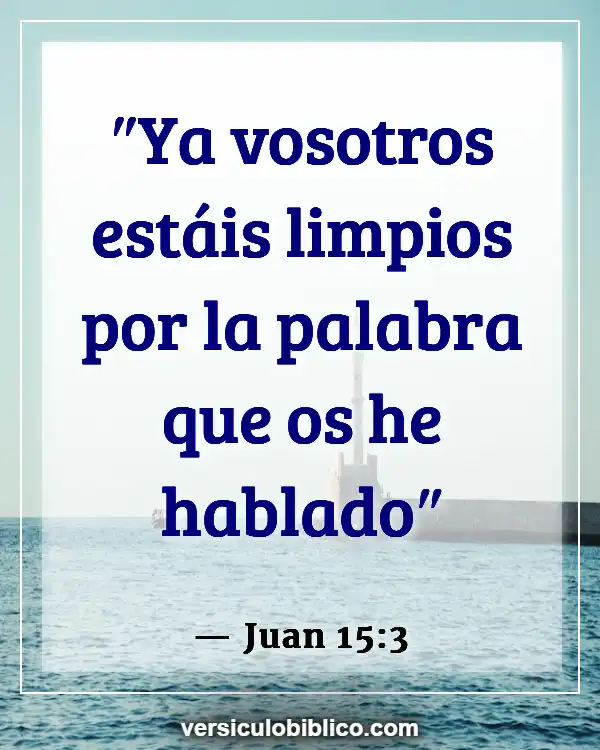 Versículos De La Biblia sobre Día de la Independencia (Juan 15:3)