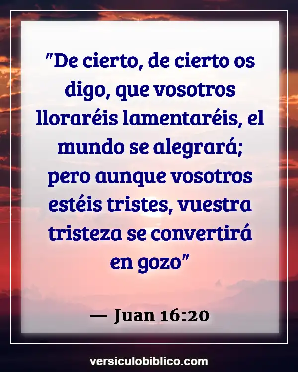 Versículos De La Biblia sobre Felicidad (Juan 16:20)