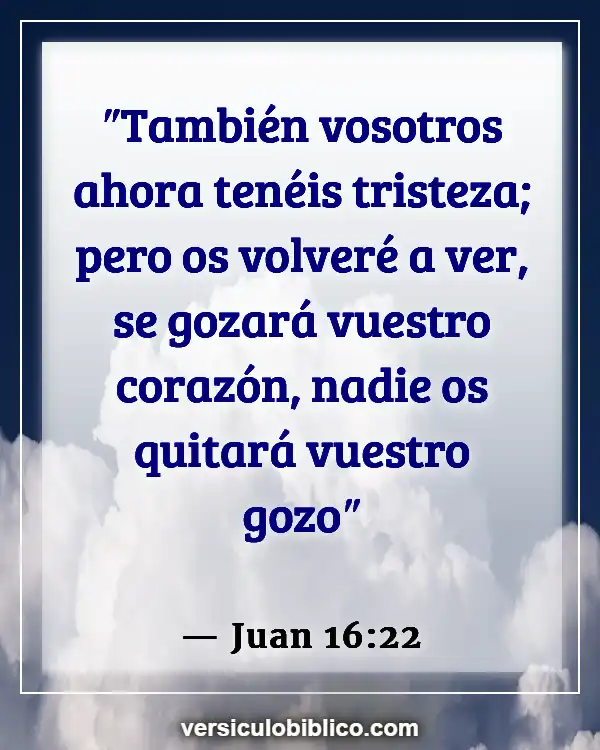 Versículos De La Biblia sobre Echar de menos a alguien (Juan 16:22)