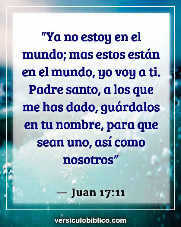 Versículos De La Biblia sobre Unidad de la Iglesia (Juan 17:11)