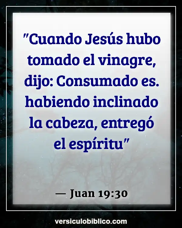 Versículos De La Biblia sobre Refinamiento (Juan 19:30)