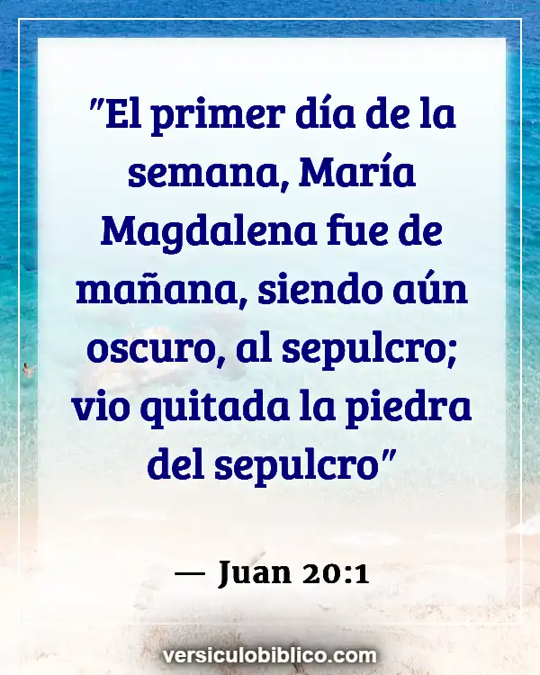 Versículos De La Biblia sobre María Magdalena (Juan 20:1)