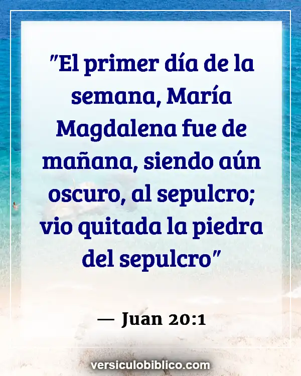 Versículos De La Biblia sobre Pentecostés (Juan 20:1)