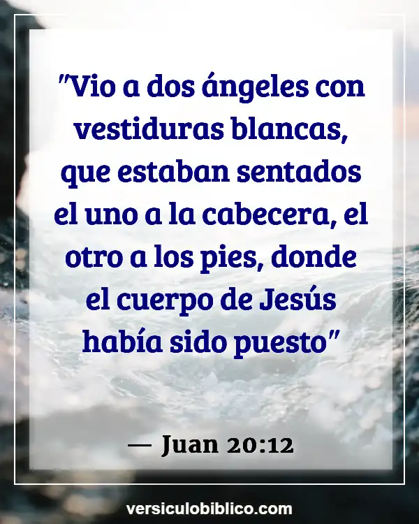 Versículos De La Biblia sobre María Magdalena (Juan 20:12)
