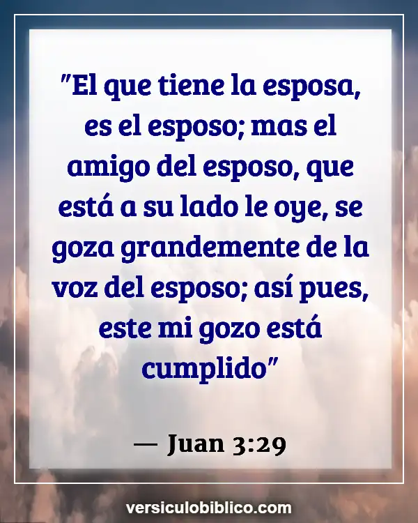 Versículos De La Biblia sobre Castigo (Juan 3:29)