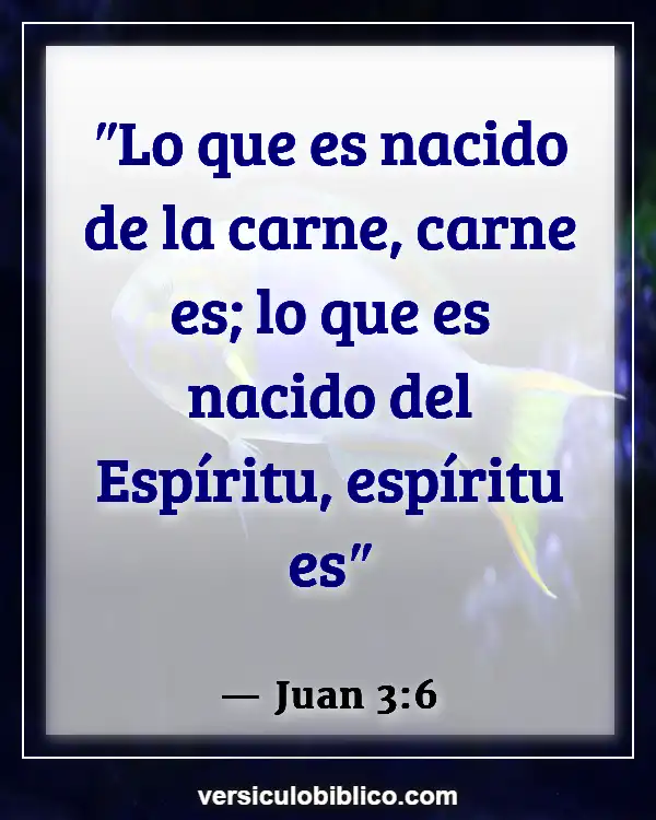 Versículos De La Biblia sobre Pulmones (Juan 3:6)