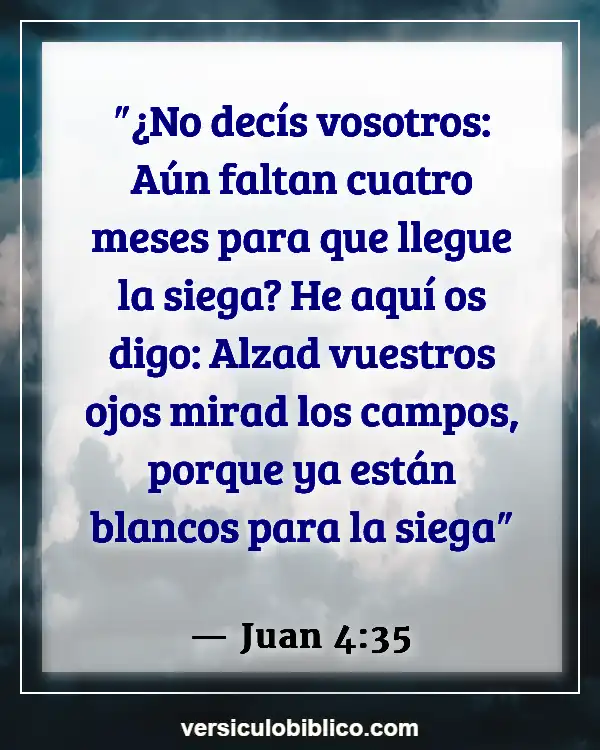 Versículos De La Biblia sobre Tiempo de cosecha (Juan 4:35)