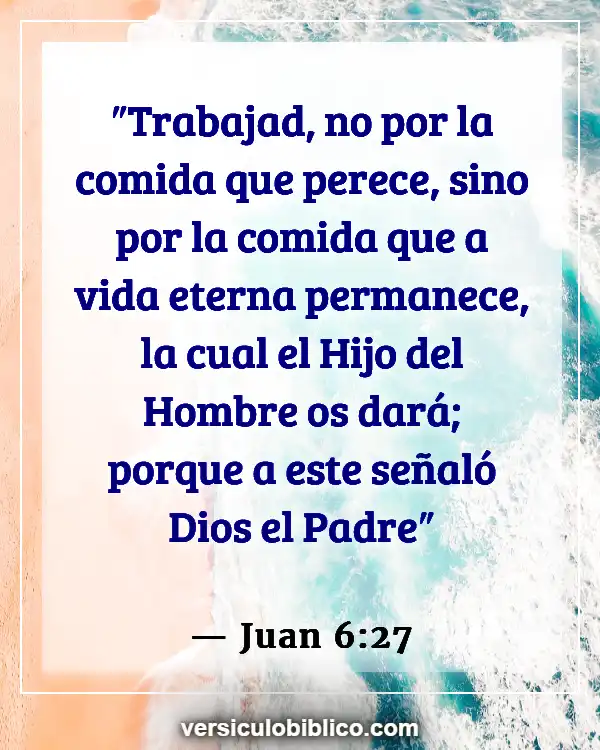 Versículos De La Biblia sobre Pulmones (Juan 6:27)