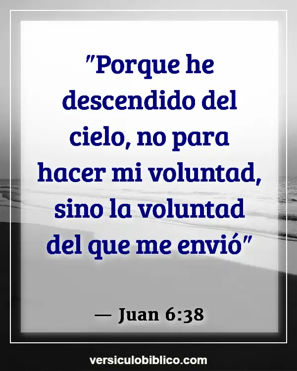 Versículos De La Biblia sobre Motivación (Juan 6:38)