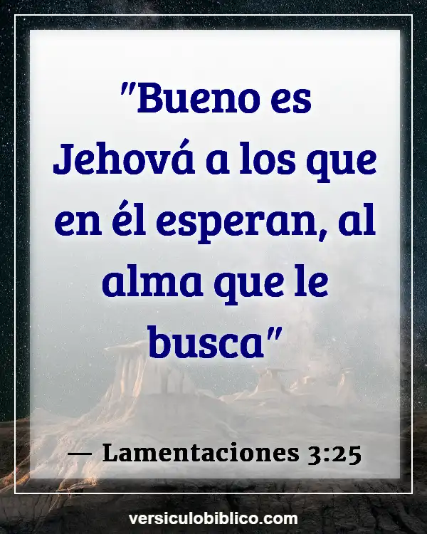 Versículos De La Biblia sobre Bondad (Lamentaciones 3:25)