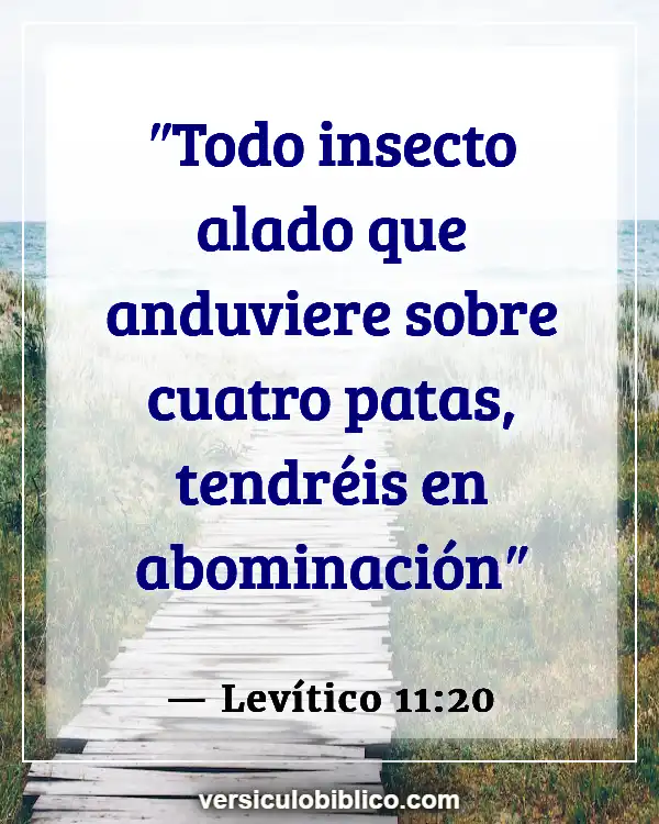 Versículos De La Biblia sobre Carne (Levítico 11:20)