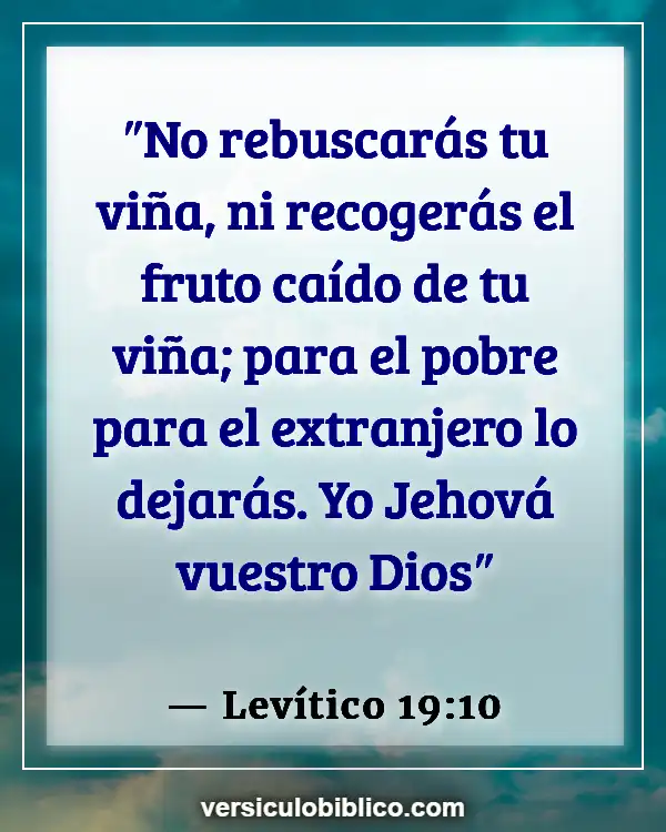 Versículos De La Biblia sobre Derechos humanos (Levítico 19:10)