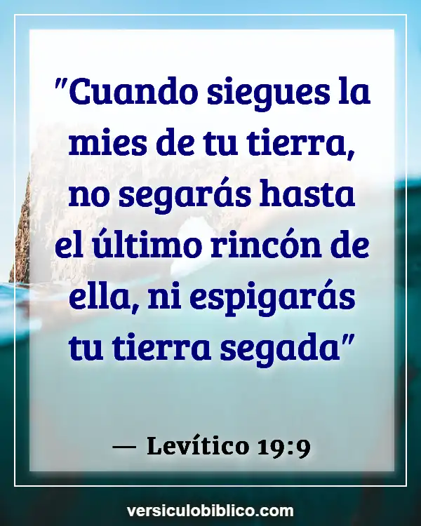 Versículos De La Biblia sobre Tiempo de cosecha (Levítico 19:9)