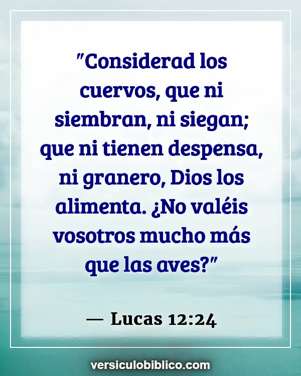 Versículos De La Biblia sobre Mascotas (Lucas 12:24)