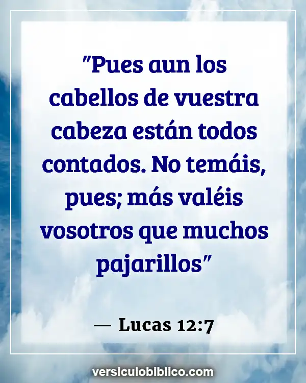 Versículos De La Biblia sobre Mascotas yendo al cielo (Lucas 12:7)