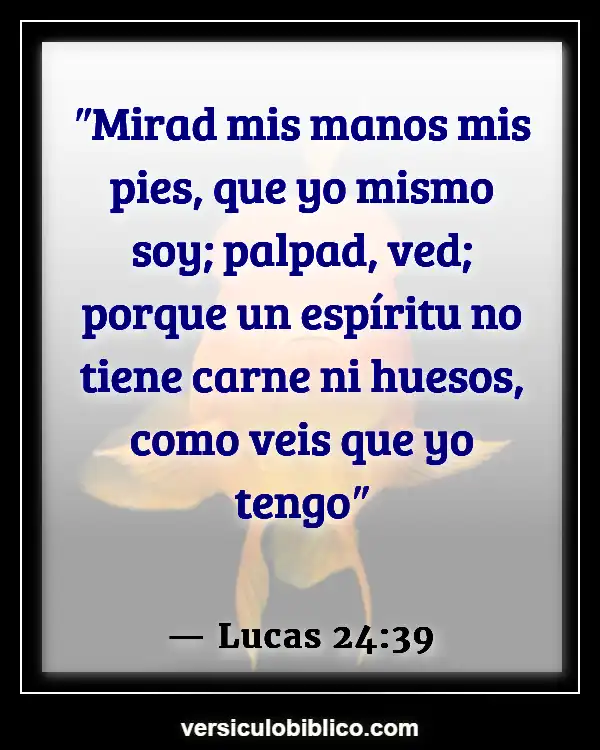 Versículos De La Biblia sobre Fantasmas (Lucas 24:39)