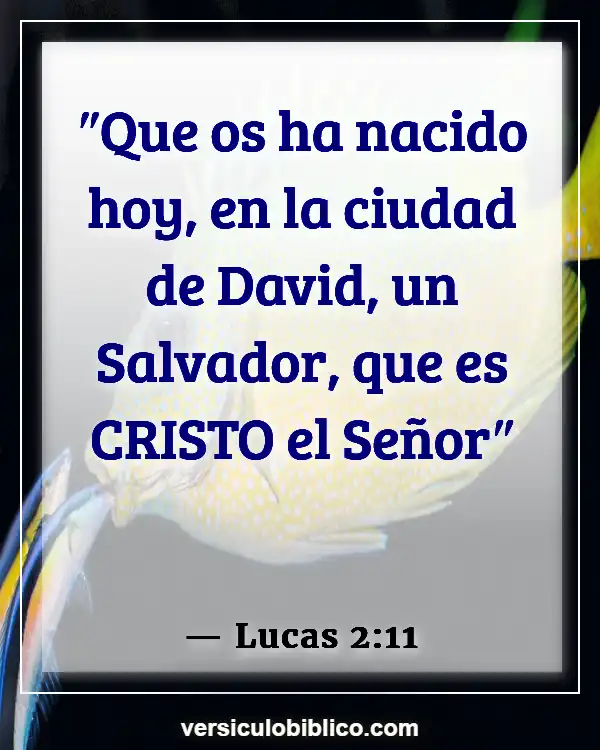 Versículos De La Biblia sobre Inventado excusas (Lucas 2:11)