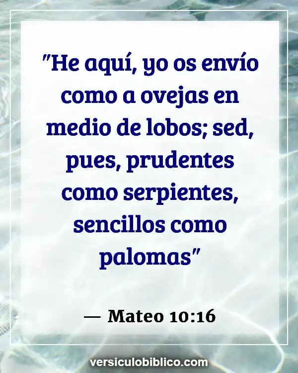 Versículos De La Biblia sobre No ser un felpudo (Mateo 10:16)