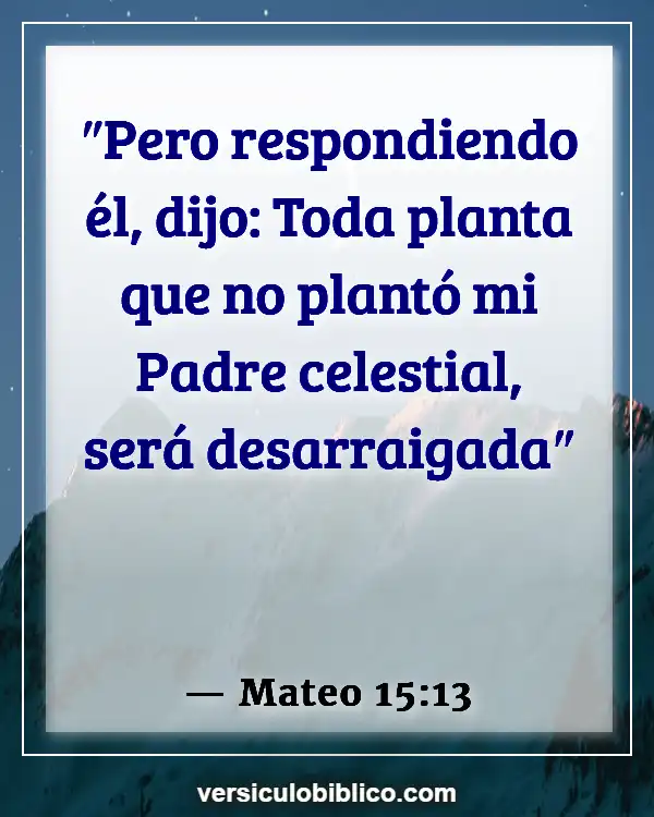 Versículos De La Biblia sobre Cenizas (Mateo 15:13)