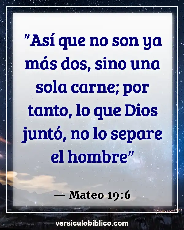 Versículos De La Biblia sobre Compromiso matrimonial (Mateo 19:6)