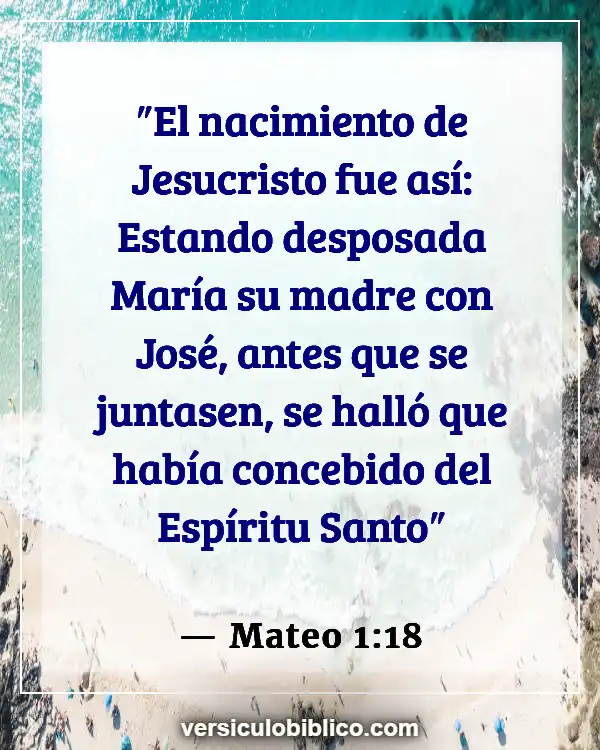 Versículos De La Biblia sobre Corderos (Mateo 1:18)