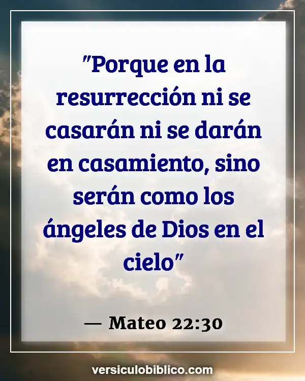 Versículos De La Biblia sobre Casamiento (Mateo 22:30)