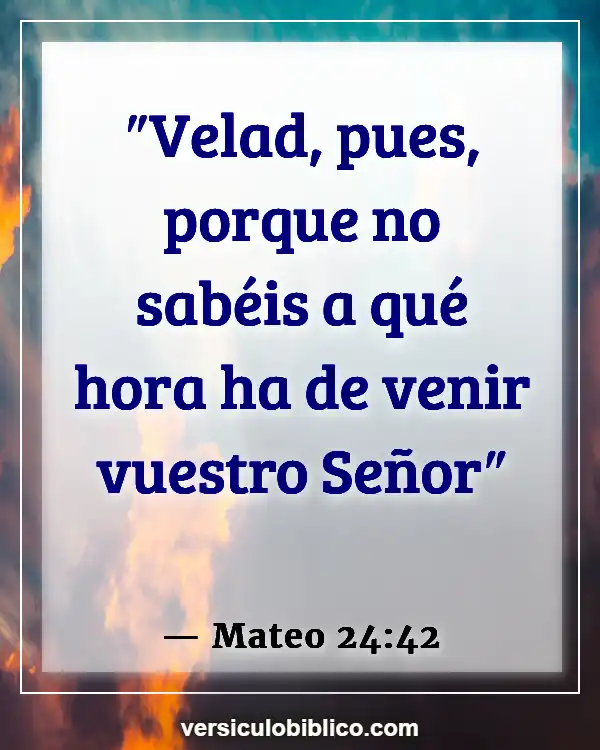 Versículos De La Biblia sobre Consciencia (Mateo 24:42)