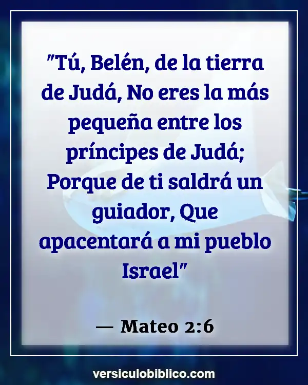 Versículos De La Biblia sobre Buen Pastor (Mateo 2:6)