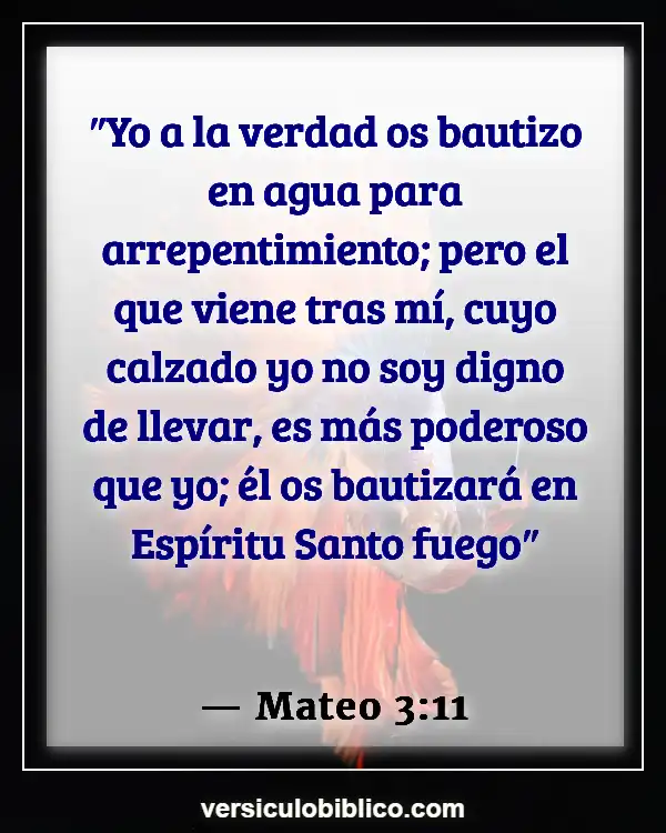 Versículos De La Biblia sobre Jonás (Mateo 3:11)