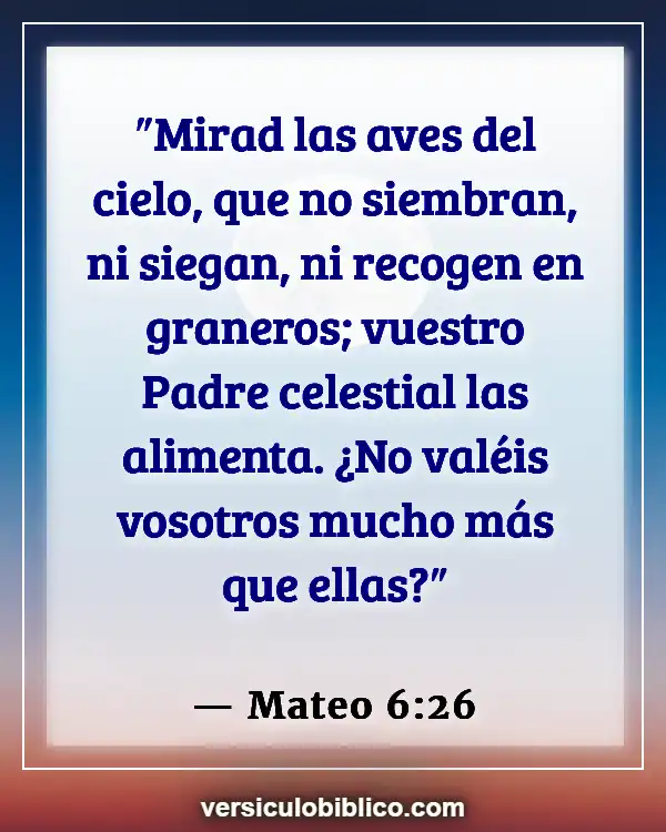 Versículos De La Biblia sobre Mascotas (Mateo 6:26)