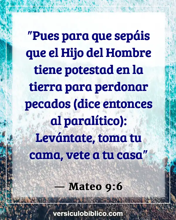 Versículos De La Biblia sobre No perder el tiempo (Mateo 9:6)