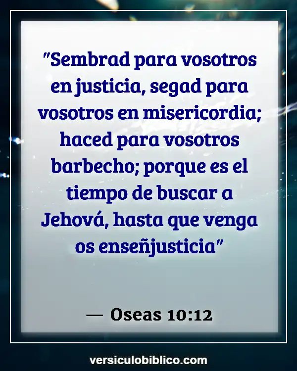 Versículos De La Biblia sobre Tiempo de cosecha (Oseas 10:12)