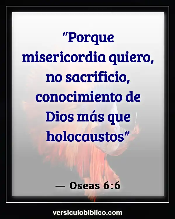 Versículos De La Biblia sobre Conocimiento (Oseas 6:6)