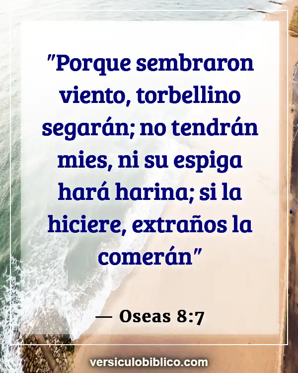 Versículos De La Biblia sobre Cosechando lo que siembras (Oseas 8:7)