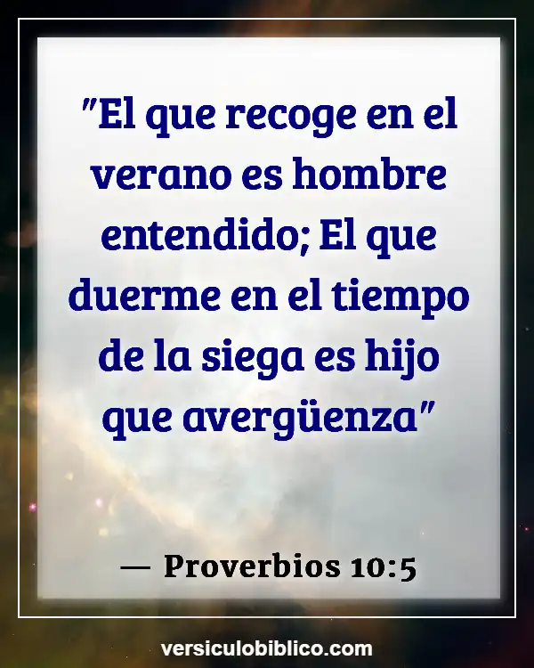 Versículos De La Biblia sobre Tiempo de cosecha (Proverbios 10:5)