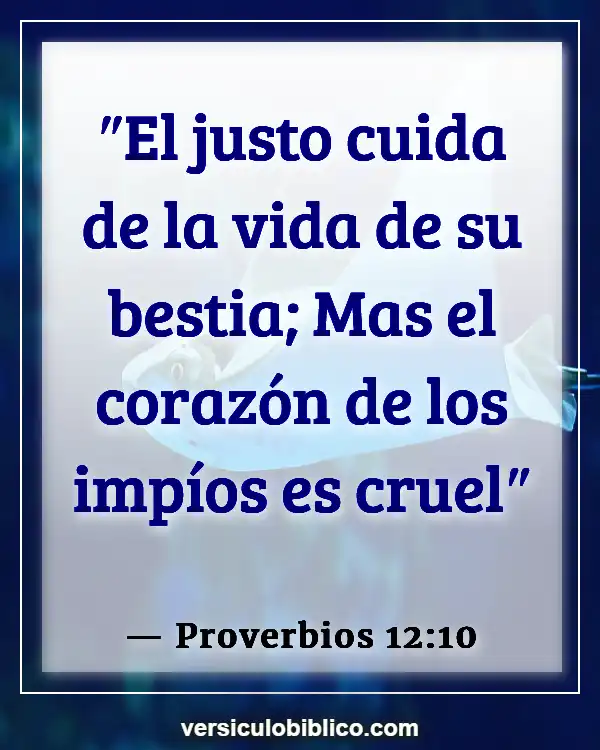 Versículos De La Biblia sobre Mascotas (Proverbios 12:10)