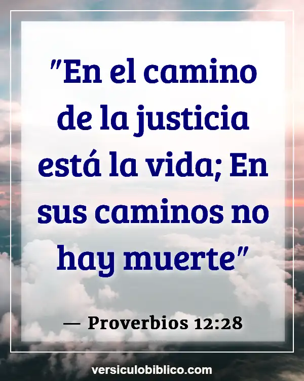 Versículos De La Biblia sobre Camino (Proverbios 12:28)