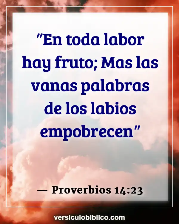 Versículos De La Biblia sobre No funciona (Proverbios 14:23)