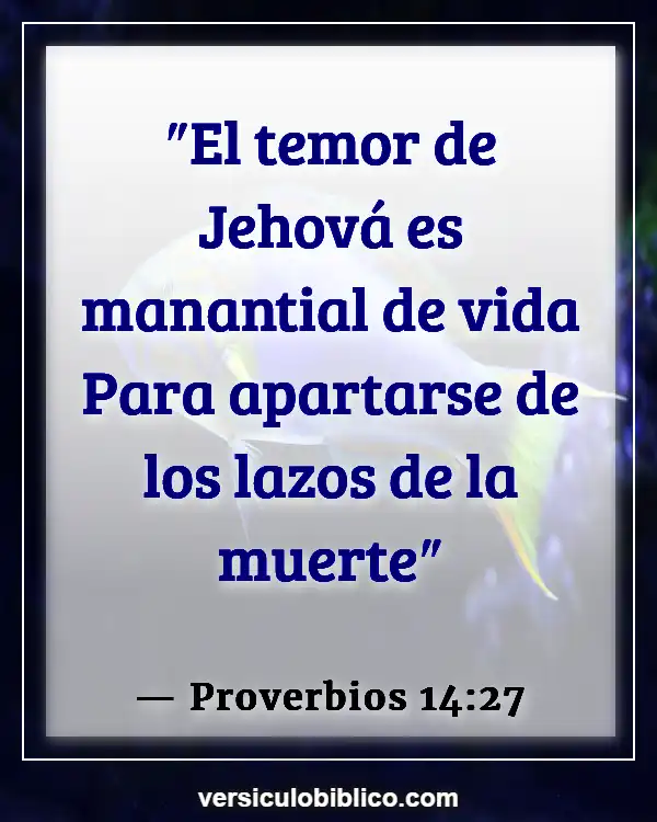 Versículos De La Biblia sobre Vida (Proverbios 14:27)