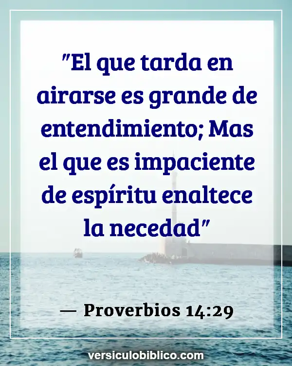 Versículos De La Biblia sobre Conocimiento (Proverbios 14:29)