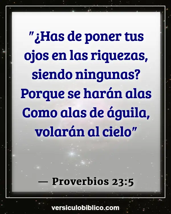 Versículos De La Biblia sobre Cosas materiales (Proverbios 23:5)