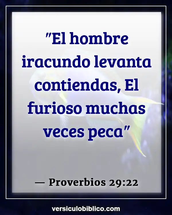 Versículos De La Biblia sobre Guardar rencor (Proverbios 29:22)